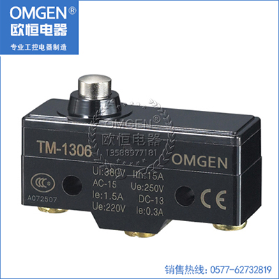 歐恒電器 TM-1306 微動(dòng)開(kāi)關(guān) 行程開(kāi)關(guān)